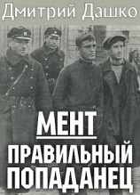 читать Правильный попаданец