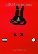 читать БДСМ по вызову. Часть I