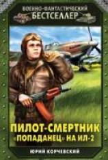 читать Пилот-смертник. «Попаданец» на Ил-2