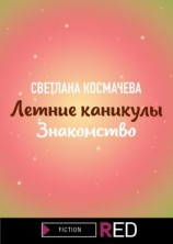 читать Летние каникулы. Знакомство