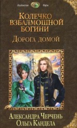 читать Дорога домой