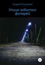 читать Улица забытых фонарей