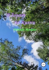 читать В дорогу по жизни