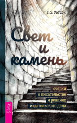 читать Свет и камень. Очерки о писательстве и реалиях издательского дела