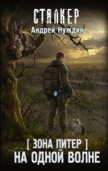 читать Зона Питер. На одной волне