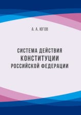 читать Система действия Конституции Российской Федерации