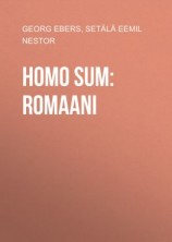 читать Homo sum: Romaani