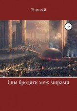 читать Сны бродяги меж мирами