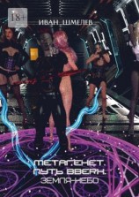 читать Метагенет. Путь вверх. Земля-Небо. Книга первая из цикла