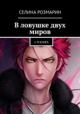 читать В ловушке двух миров. 1-я книга