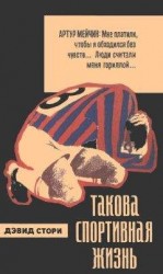 читать Вместо картины