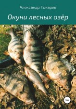 читать Окуни лесных озёр