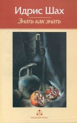 читать Знать как знать. Практическая философия суфийской традиции