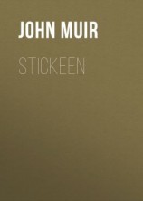 читать Stickeen