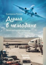 читать Душа в чемодане. Записки бортпроводницы