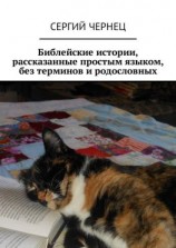 читать Библейские истории, рассказанные простым языком, без терминов и родословных