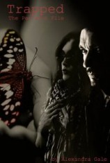 читать Дело Пентагона