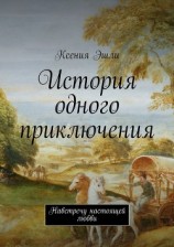 читать История одного приключения