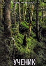 читать Ученик. Книга вторая