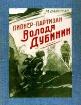 читать Пионер-партизан Володя Дубинин(Очерк)