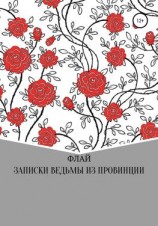 читать Записки ведьмы из провинции