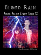 читать Blood Rain