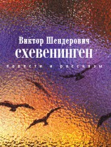 читать Схевенинген (сборник)