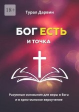 читать Бог есть и точка. Разумные основания для веры в Бога и в христианское вероучение