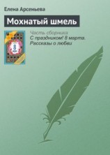 читать Мохнатый шмель