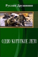читать Одно короткое лето