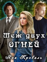 читать Меж двух огней