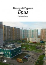 читать Бриг