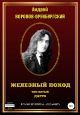 читать Железный поход. Том пятый. Дарго
