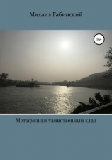 читать Метафизики таинственный клад