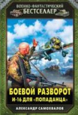 читать Боевой разворот. И-16 для «попаданца»