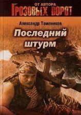читать Последний штурм