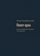 читать Полет орла. Краткое введение в терапию осознаванием