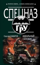 читать Идеальный силовик