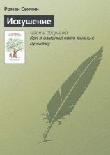 читать Искушение: Роман Сенчин