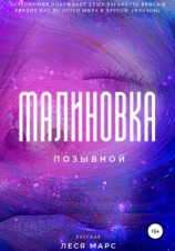читать Позывной «Малиновка»