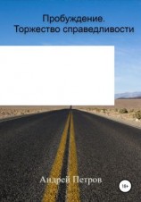 читать Пробуждение. Торжество справедливости