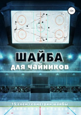 читать Шайба для чайников