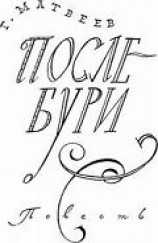 читать После бури