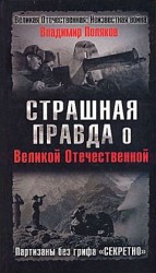 читать Страшная правда о Великой Отечественной. Партизаны без грифа «Секретно»