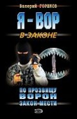 читать Закон мести