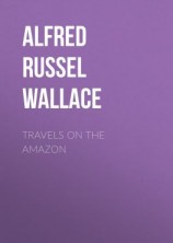 читать Travels on the Amazon