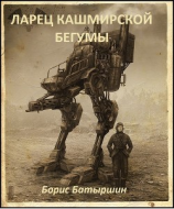 читать Ларец кашмирской бегумы