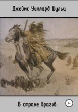 читать В стране врагов