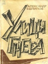читать Улицы гнева