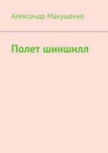 читать Полет шиншилл